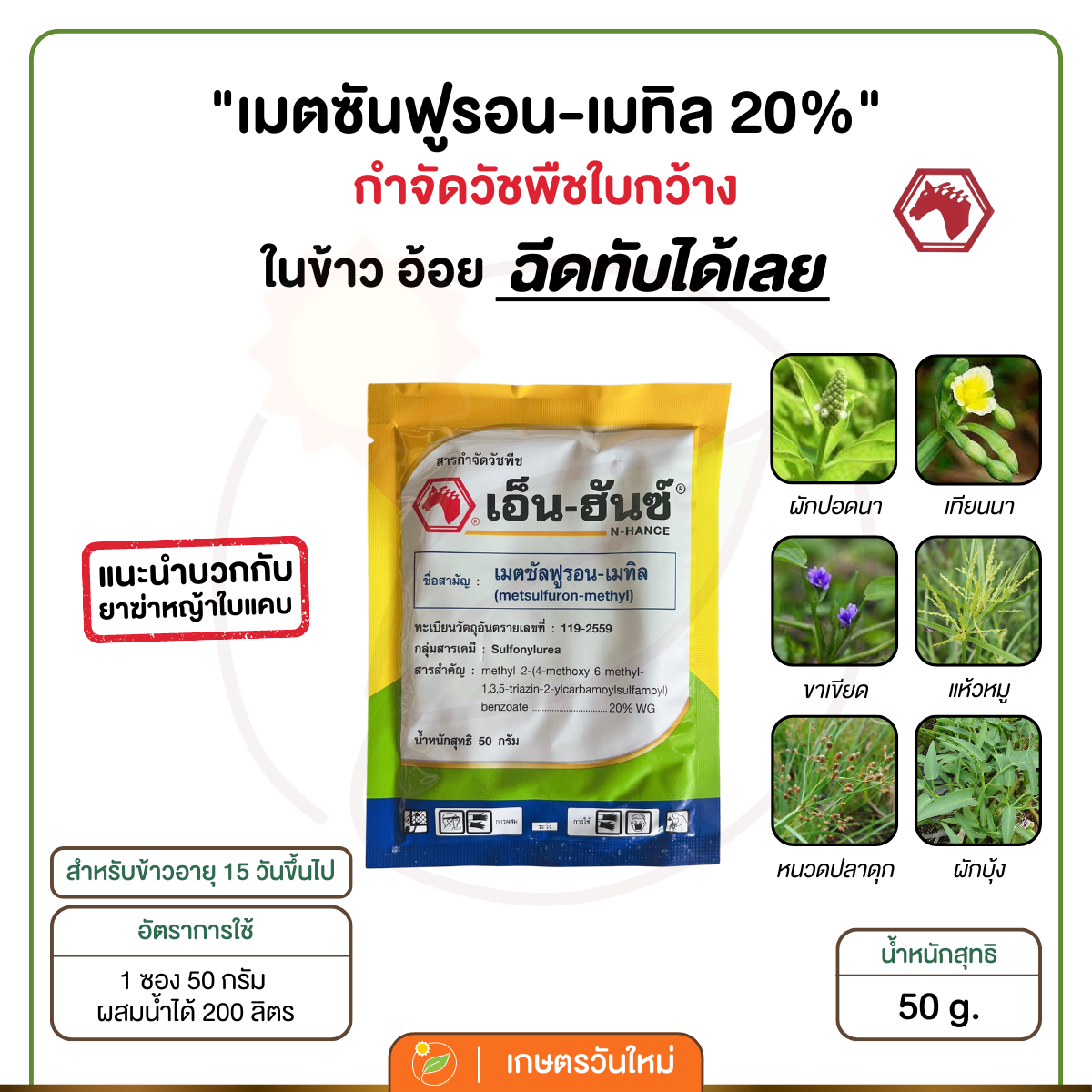 เอ็น-ฮันซ์ (เมตซันฟูรอน-เมทิล) กก ต้นปรือ กกสามเหลี่ยม โสนหิน แห้วหมู ใช้ได้ทั้งในนาข้าว อ้อย