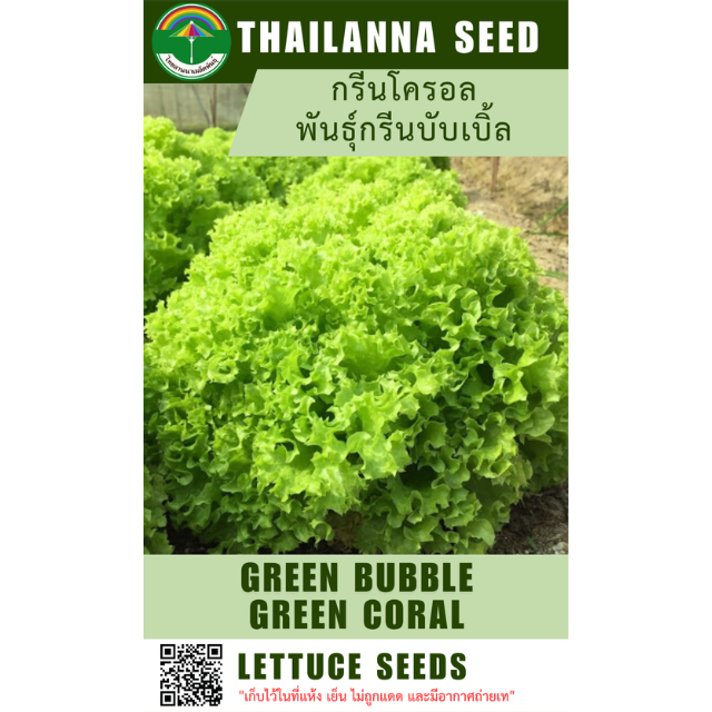 กรีนโครอล พันธุ์กรีนบับเบิ้ล ( ขนาด 10 กรัม ) รหัสสินค้า 1012