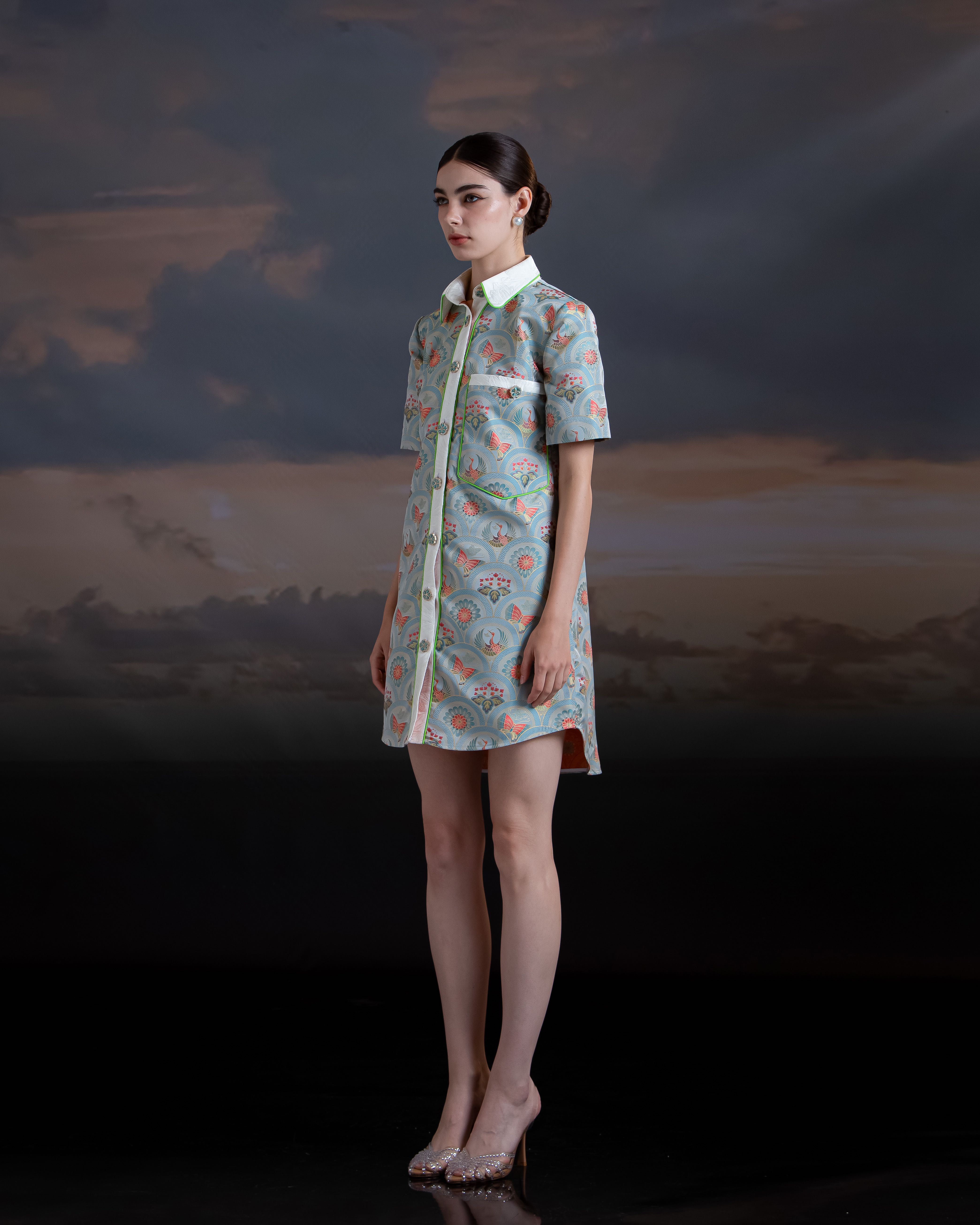 Boyfriend Shirt Dress