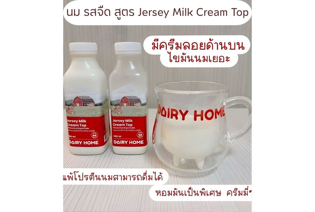 Jersey Milk Cream Top นมเจอร์ซี่ครีมท้อป