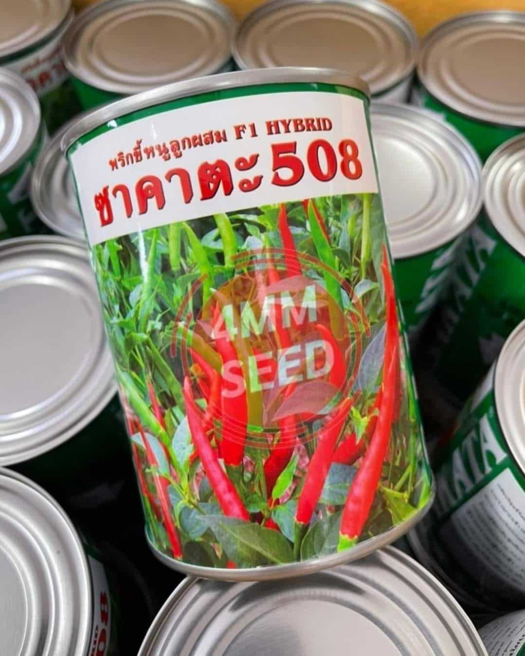 พริกขี้หนูซาคาตะ508   50กรัม    #เมล็ดพันธ์ุุ