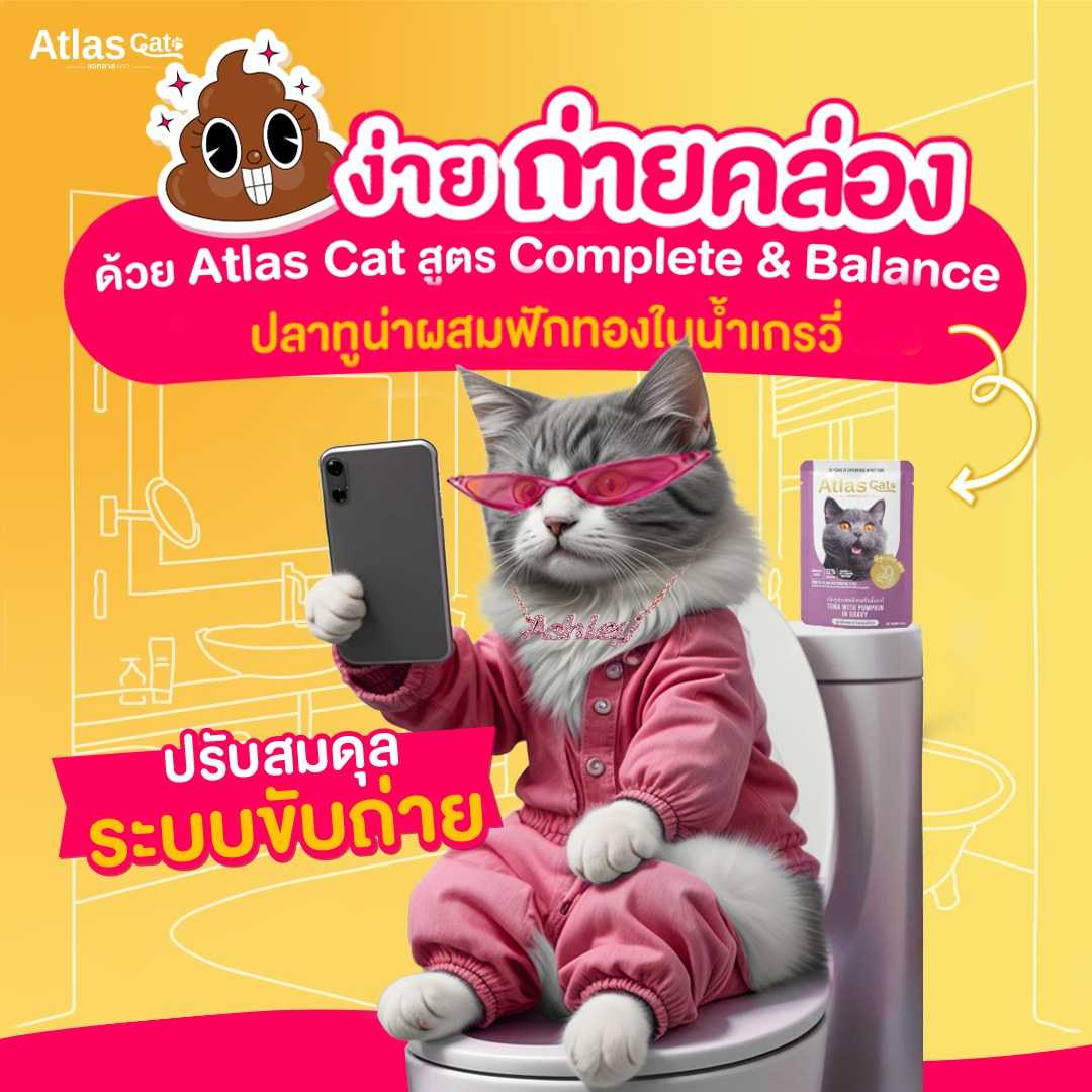 (แพ็ค 3) แอทลาส แคท อาหารแมวเปียก ปลาทูน่าผสมฟักทองในน้ำเกรวี่ 70g. สูตรระบบย่อยอาหาร