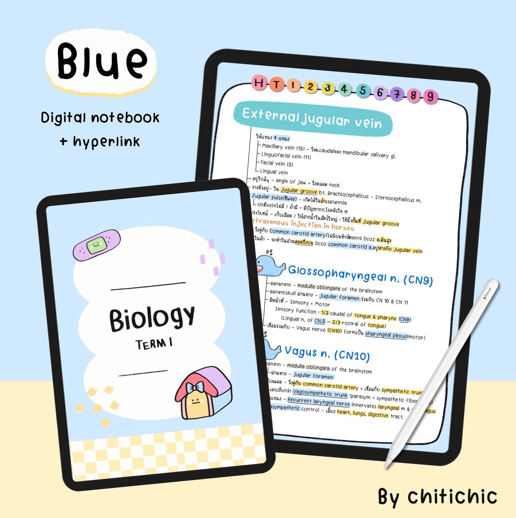 Blue | Crayon notebook 