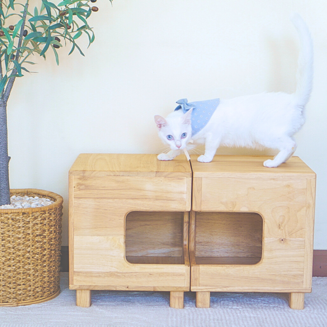 เก้าอี้สตูลไม้ยางพารา ของคนรักแมว Wooden Stool Cat House / Side Table Chair Cat House