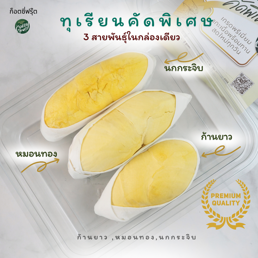 ทุเรียน 3 สายพันธุ์ในกล่องเดียว คัดพิเศษ