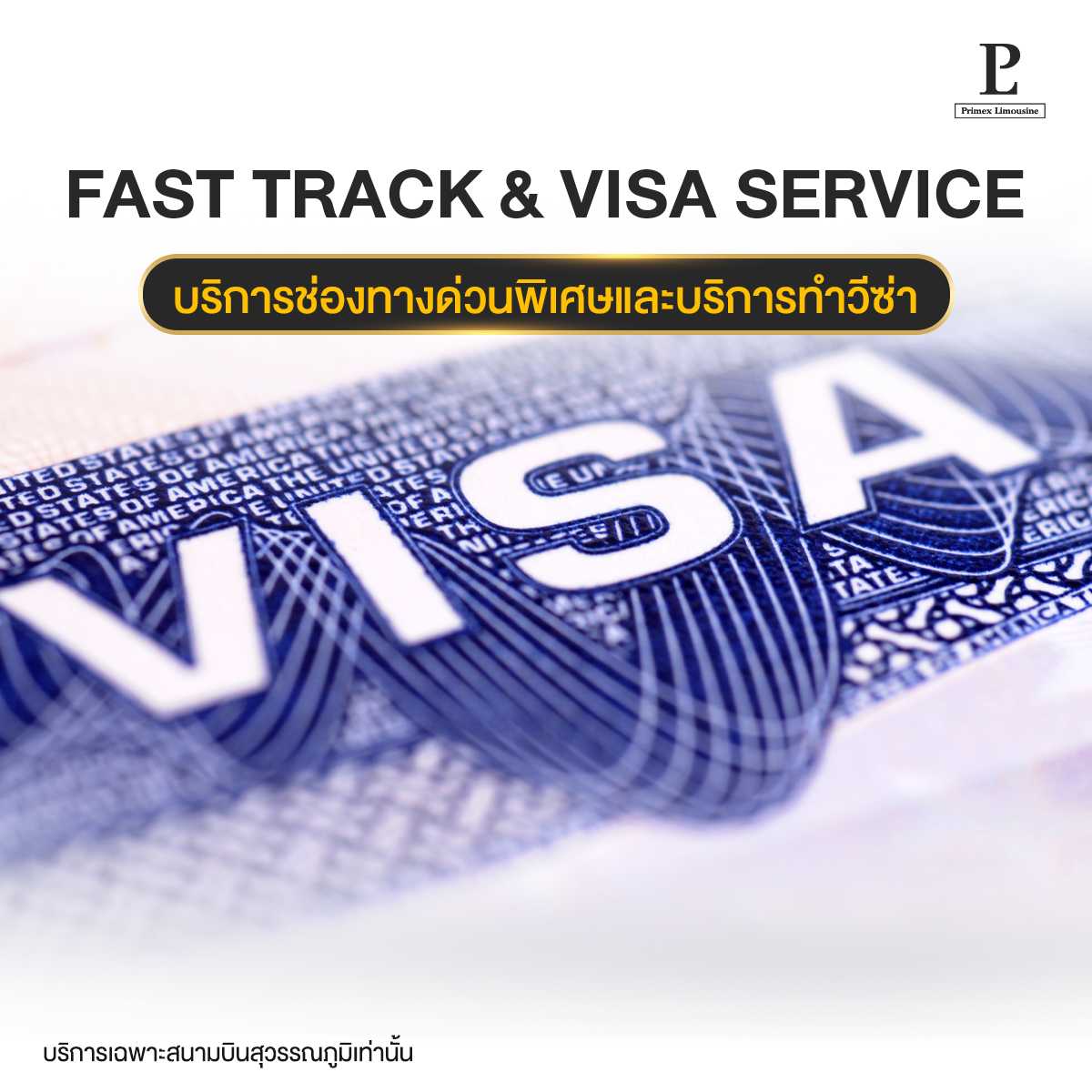 (Airport VIP Service) Immigration Fast Track Service and Visa Service (Arrival Only)