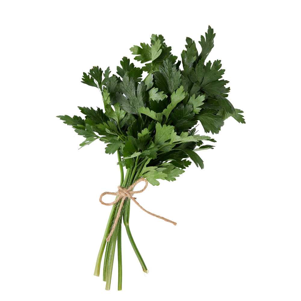 FG04002 อิตาเลี่ยนพาสเลย์ Italian Parsley ( 30g )