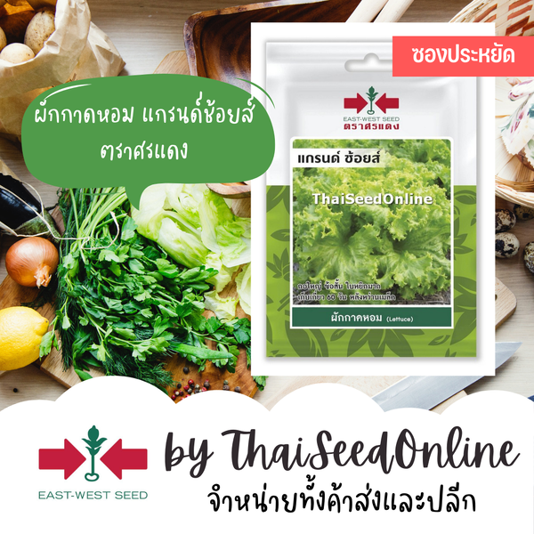 ศรแดง VP3 ซฟ เมล็ดพันธุ์ ผักกาดหอม แกรนด์ ช้อยส์ 3000เมล็ด ตราศรแดง ซอง 10บาท Lettuce Grand Choice