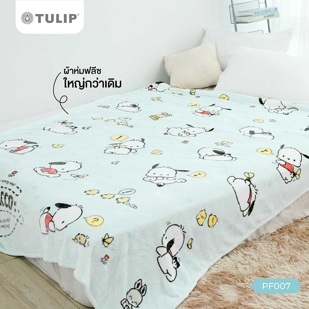 Tulip Fleece  60x80 นิ้ว ลาย PF007  Pochacco ลิขสิทธิ์แท้ Sanrio ผ้าห่มฟลีซขนาดใหญ่ 5 ฟุต