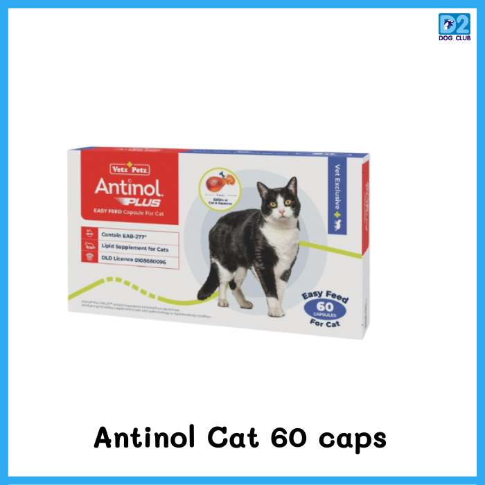 Antinol Cat 60 caps แอทินอล อาหารเสริม ลดอักเสบ บำรุงข้อ แมว
