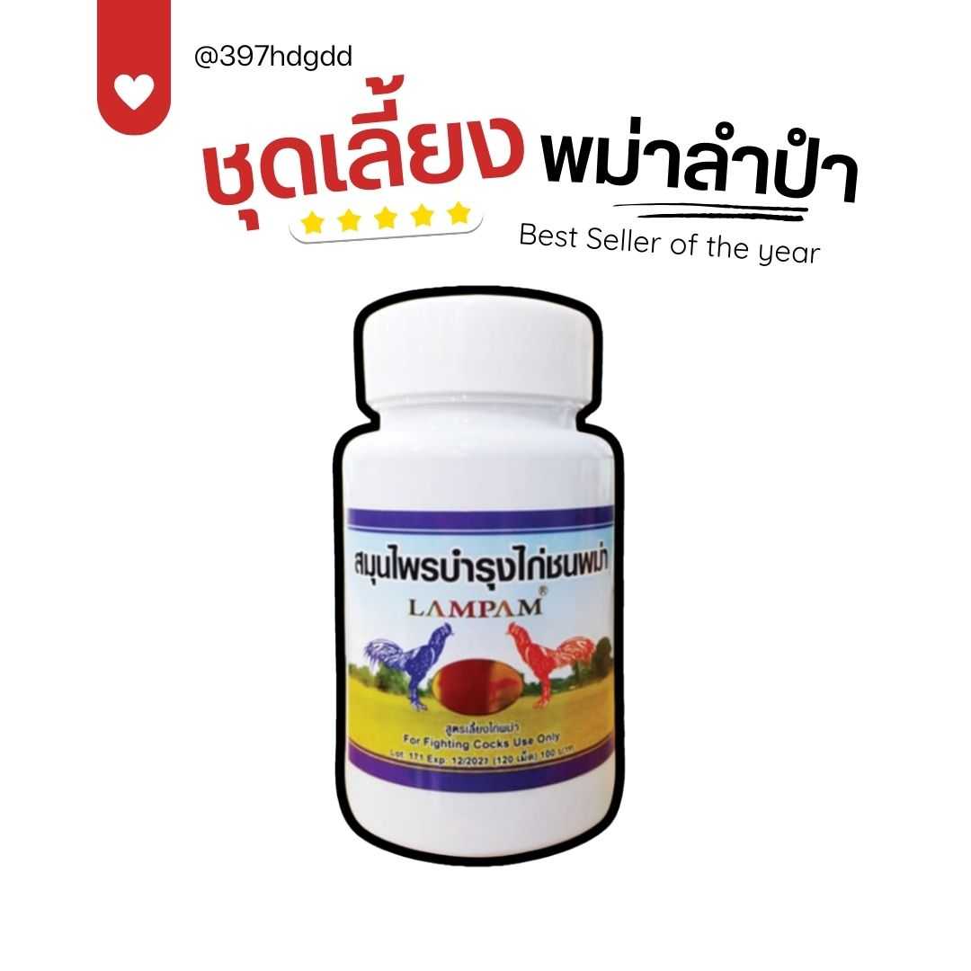 ลำปำ พม่าลำปำ  100เม็ด ชุดเลี้ยงลำปำ