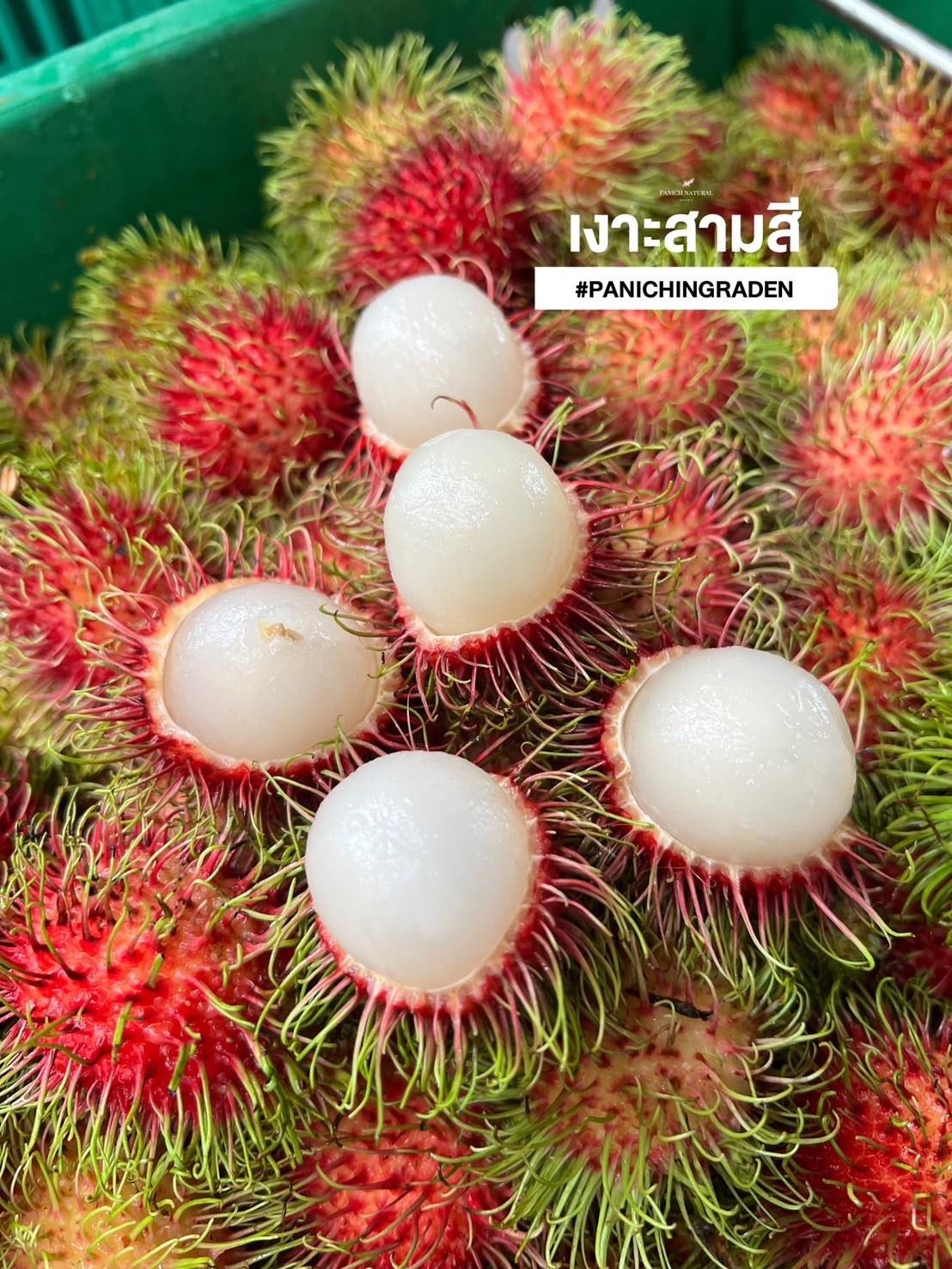 เงาะล้วน (5kg./กล่อง)