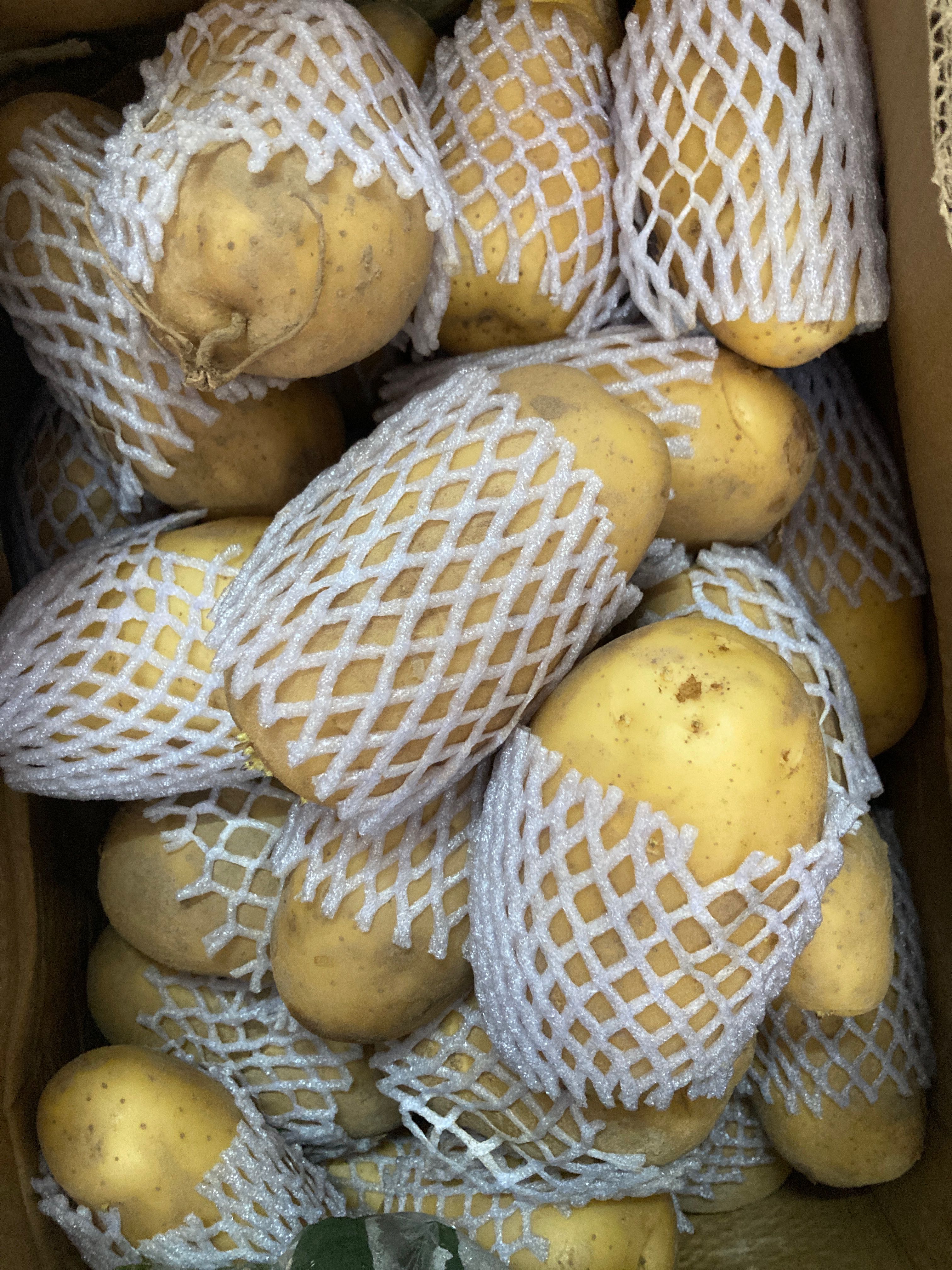 มันฝรั่ง ใหญ่ อย่างดี GIANT POTATOES