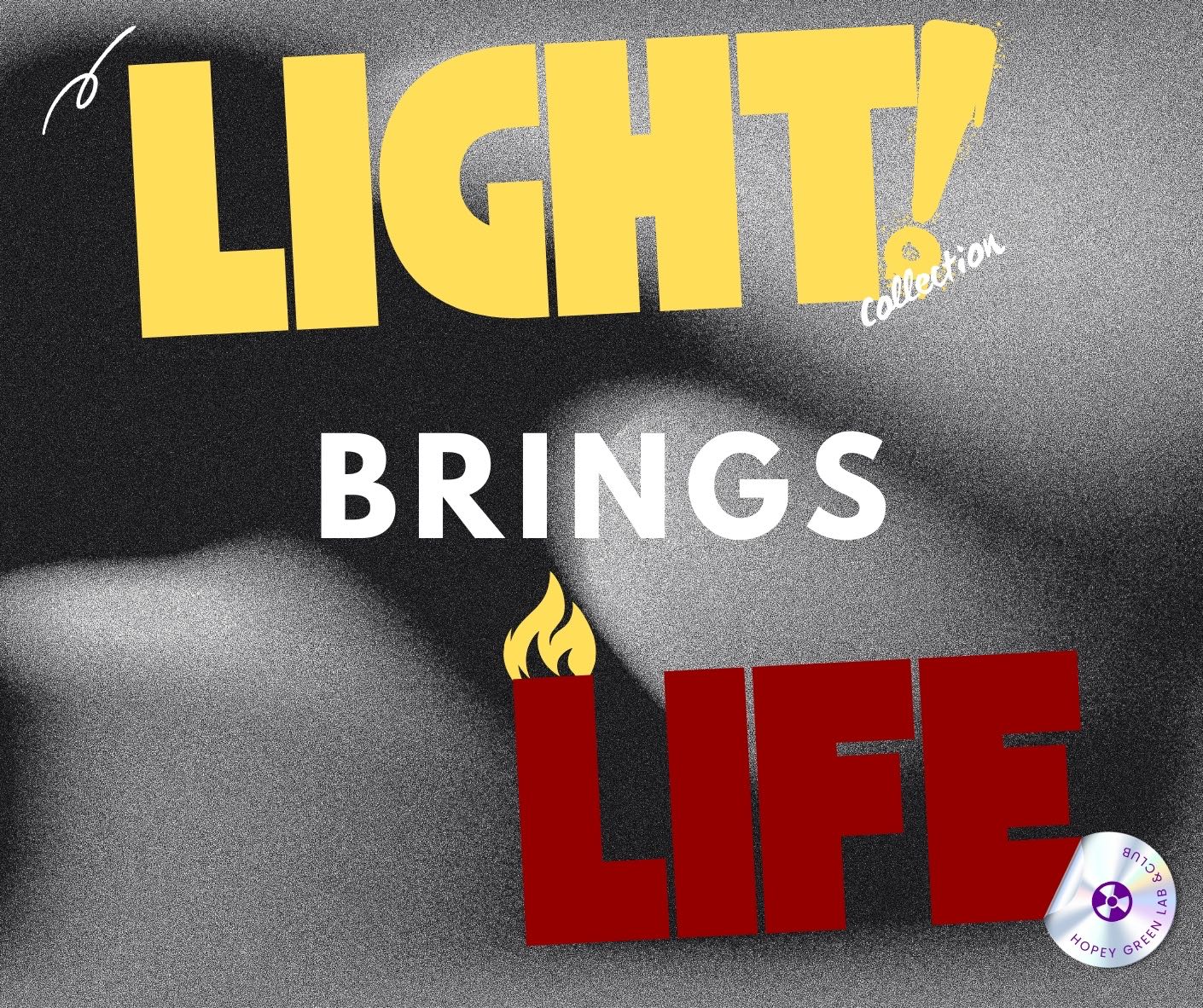 Light brings life 🔥 