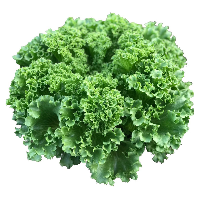 An Image