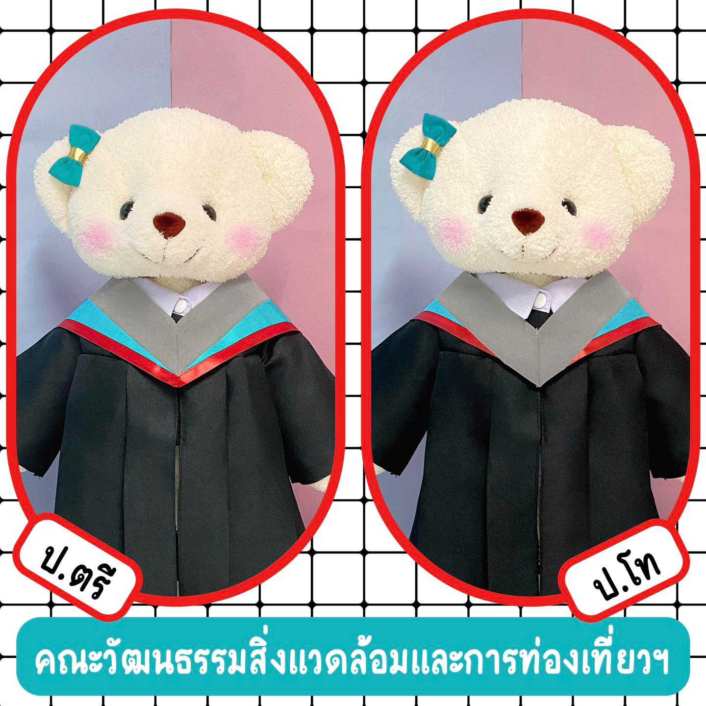 ตุ๊กตาหมีชุดครุย มศว คณะวัฒนธรรมสิ่งแวดล้อมและการท่องเที่ยวเชิงนิเวศ