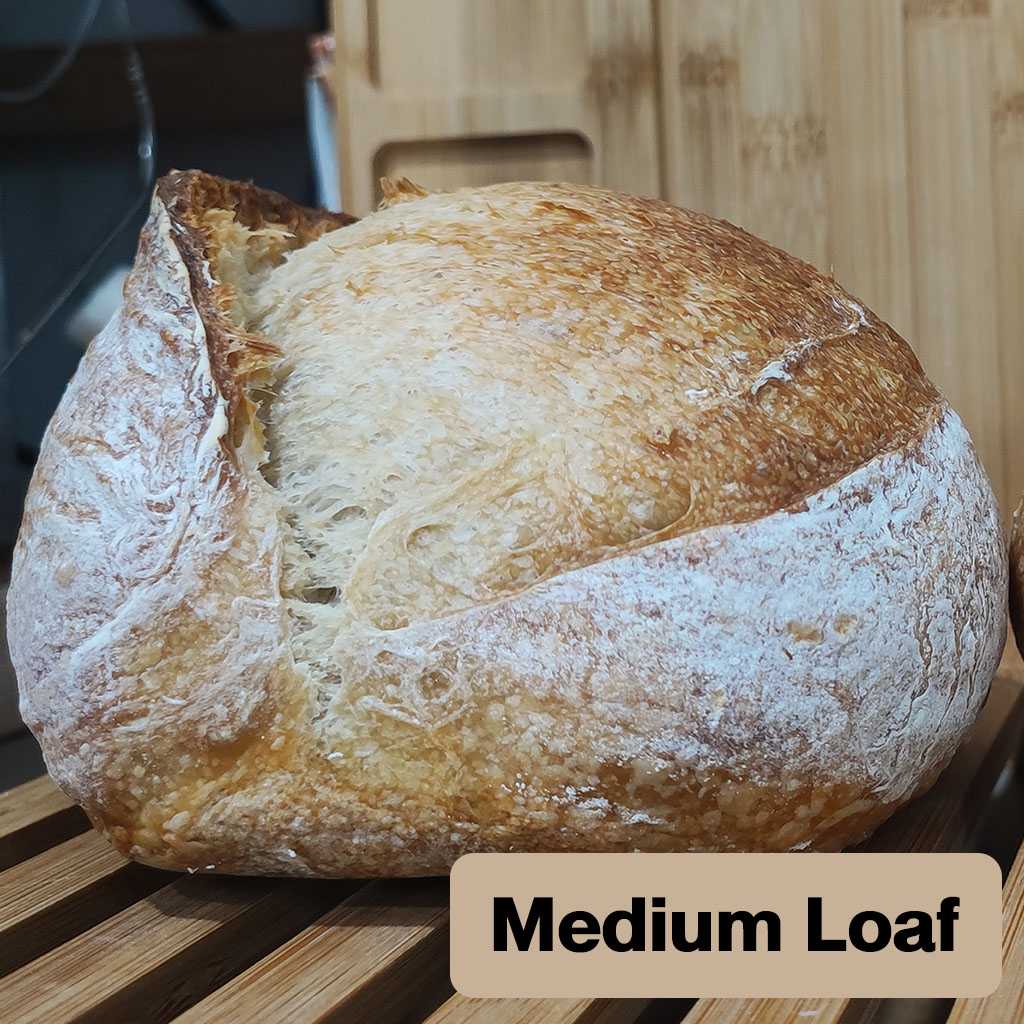 Classic Sourdough 500g. (Medium สูตร 3)