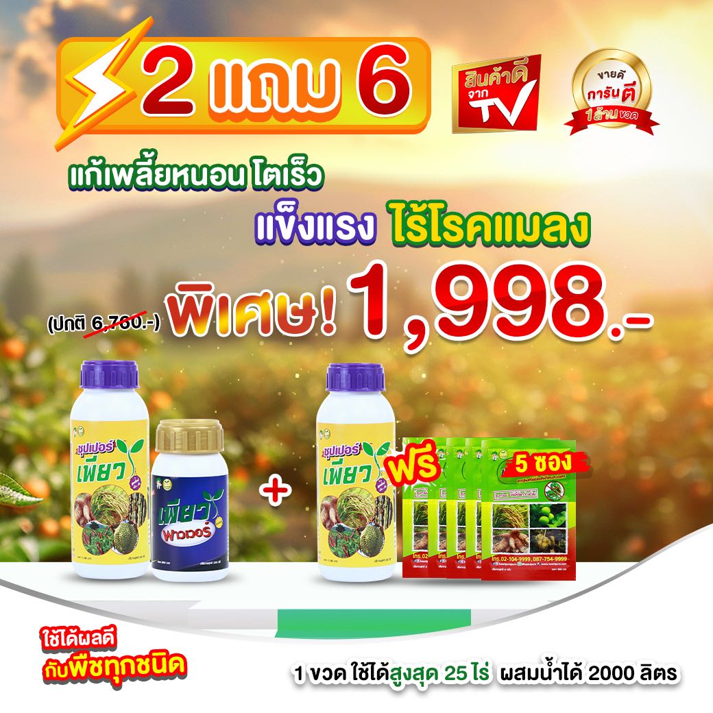 เพียว ซื้อ 2 ฟรี 6 พืชโตไว ไร้เพลี้ยหนอน ไม่มีเชื้อราแมลงกวน