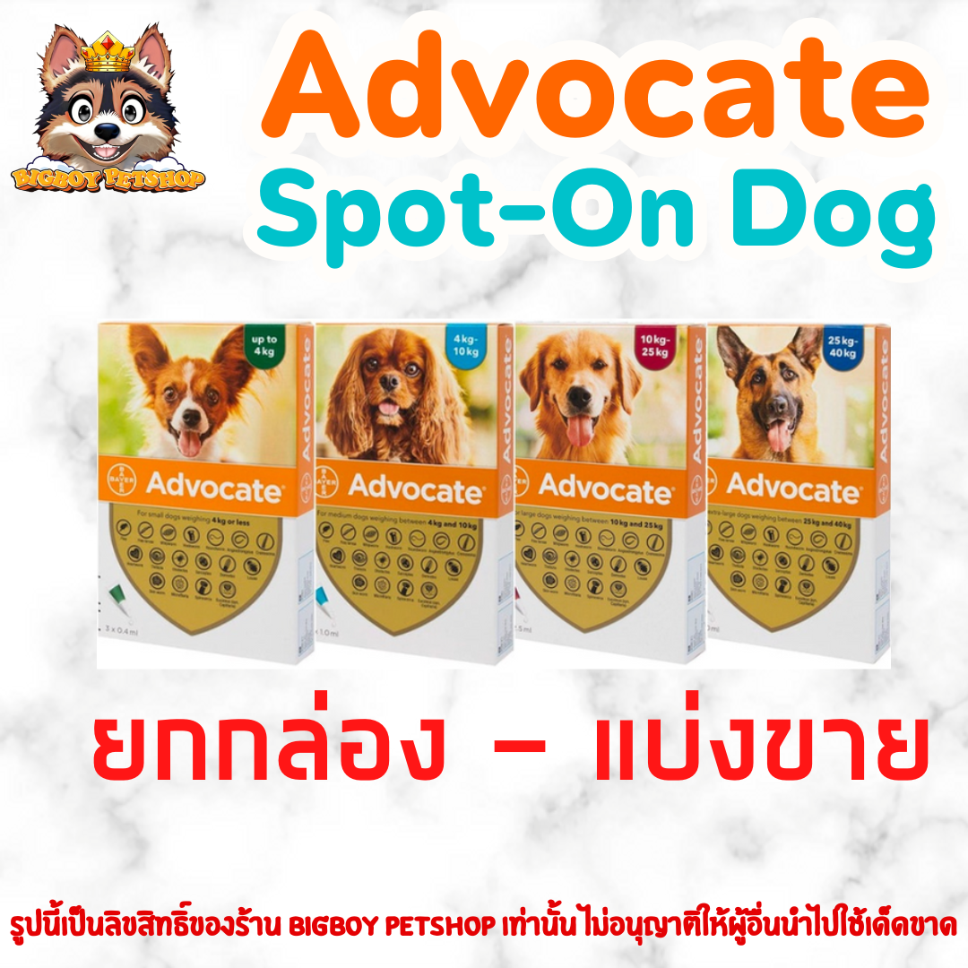 Advocate Spot on dog exp 6/25 แอดโวเคท สุนัข