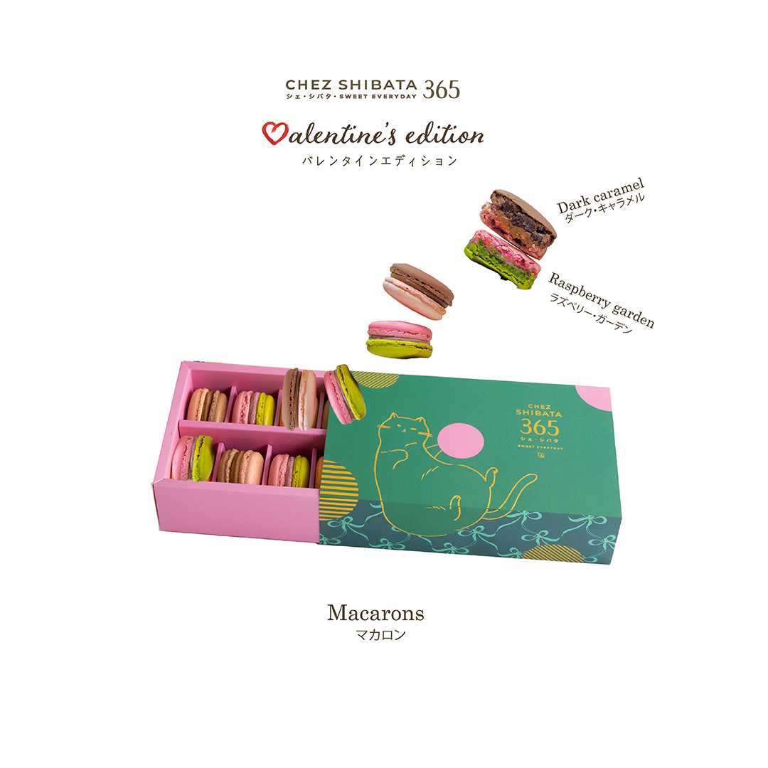 12 piece macaron set