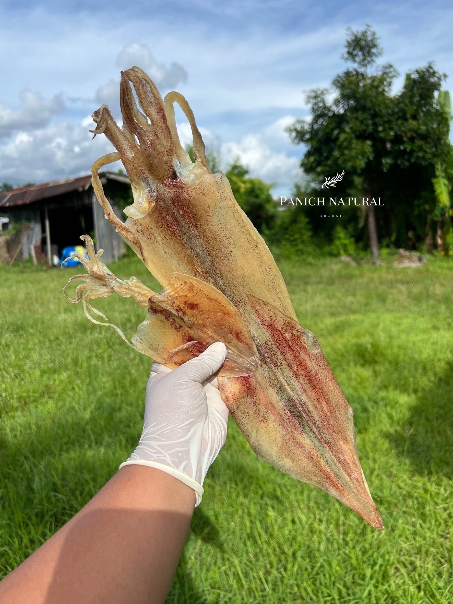 หมึกกล้วยตากแห้ง