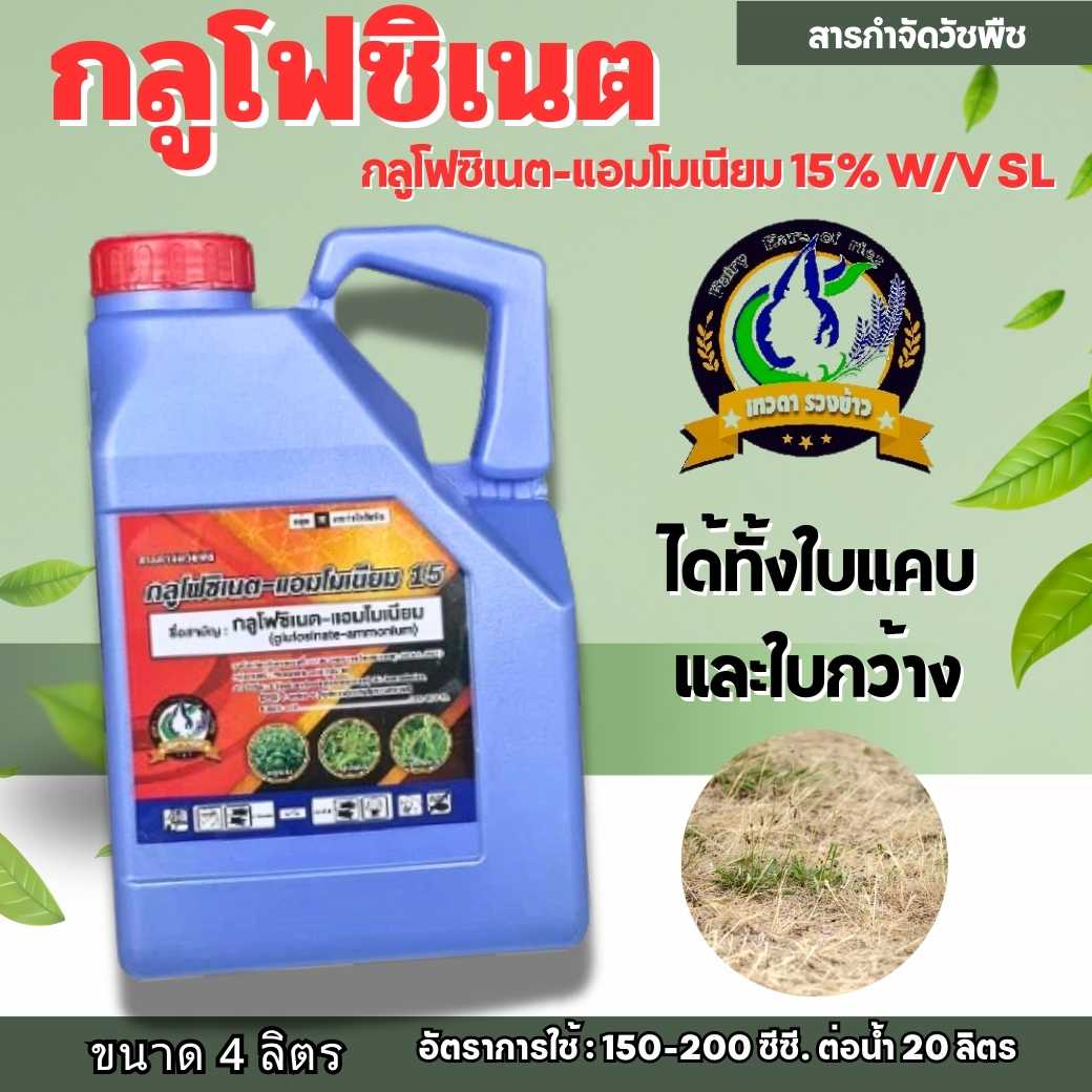 กลูโฟซิเนต 4 L เทวดารวงข้าว เกรด A  น้ำสีฟ้า ฉีดชิดโคนทุเรียน โคนพืชได้  ใบไม่เหลือง