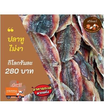 ปลาทูไม่งา (ครึ่งกิโลกรัม)