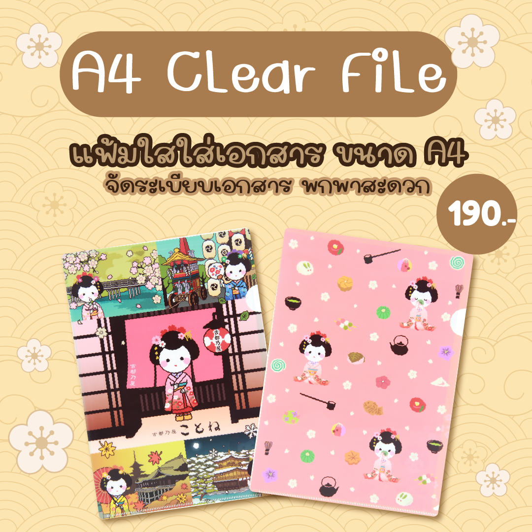 A4 Clear File