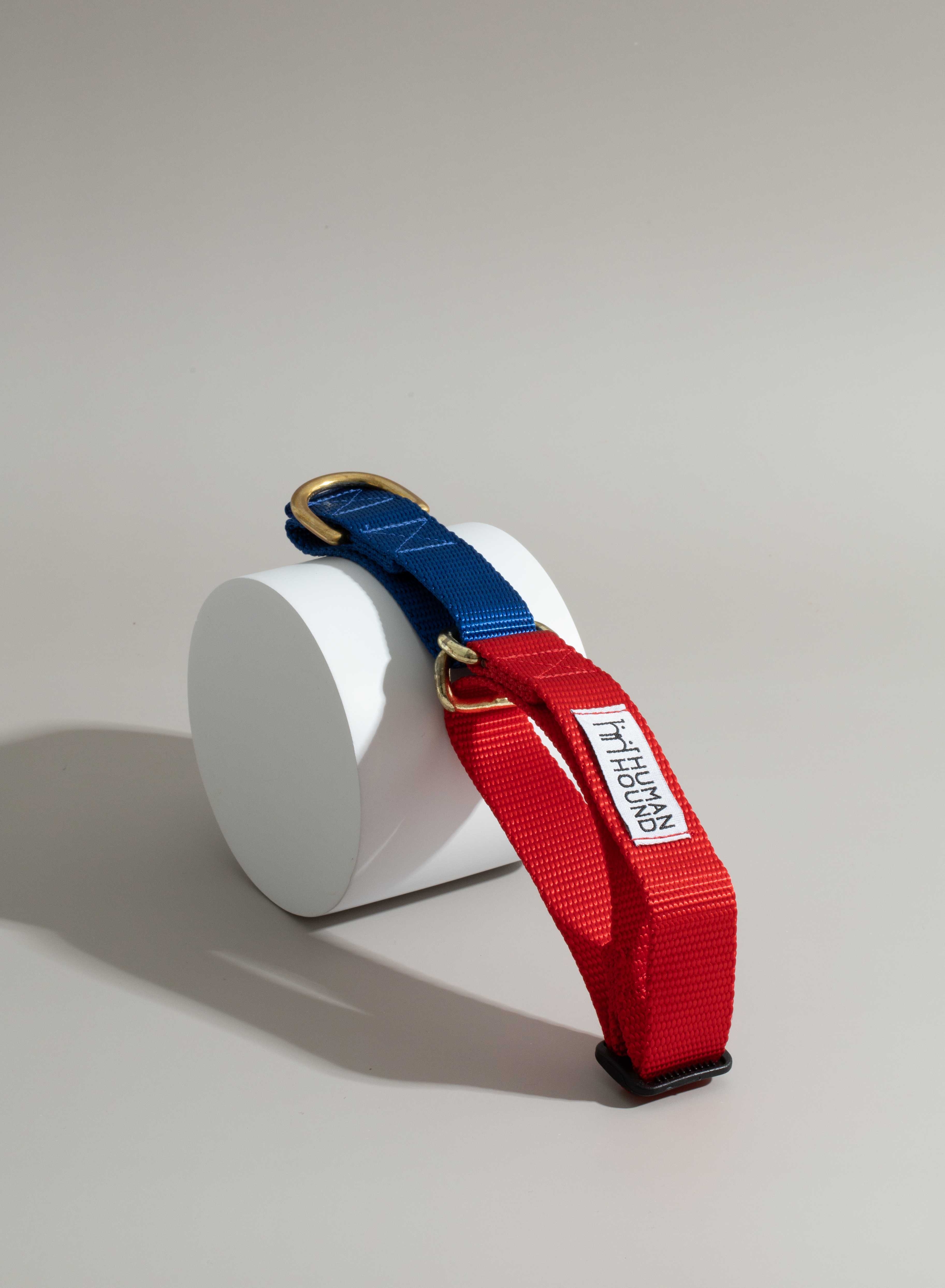 ปลอกคอ Martingale Collar - Blue x Light Red