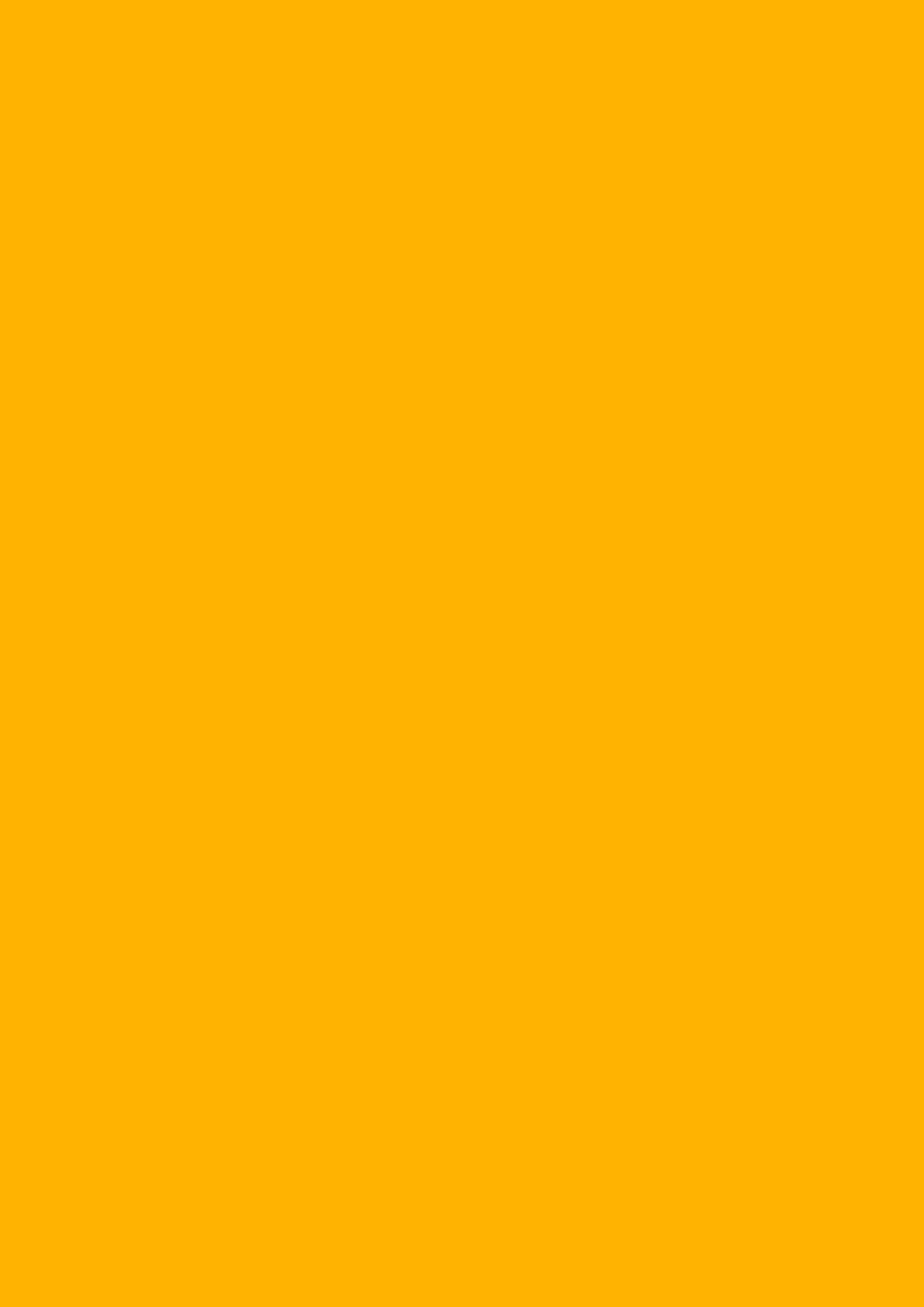 แผ่นลามิเนต SUNSHINE | PL 2406 T