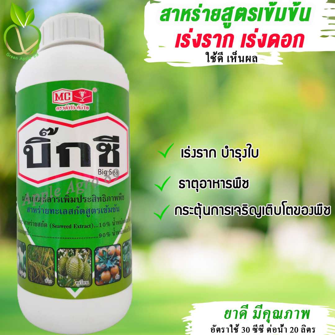 บิ๊กซี สาหร่ายเข้มข้น (หัววัว) ขนาด 1 ลิตร