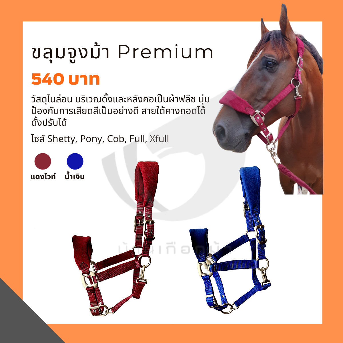 ขลุมจูงม้า Premium