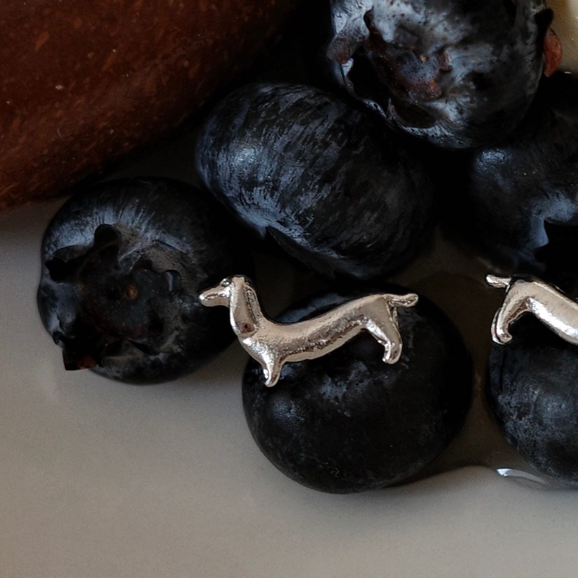 Dachshund Stud (ACE009)