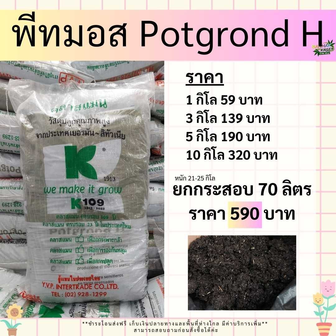 พีทมอส Potgrond H (ส่งฟรี)