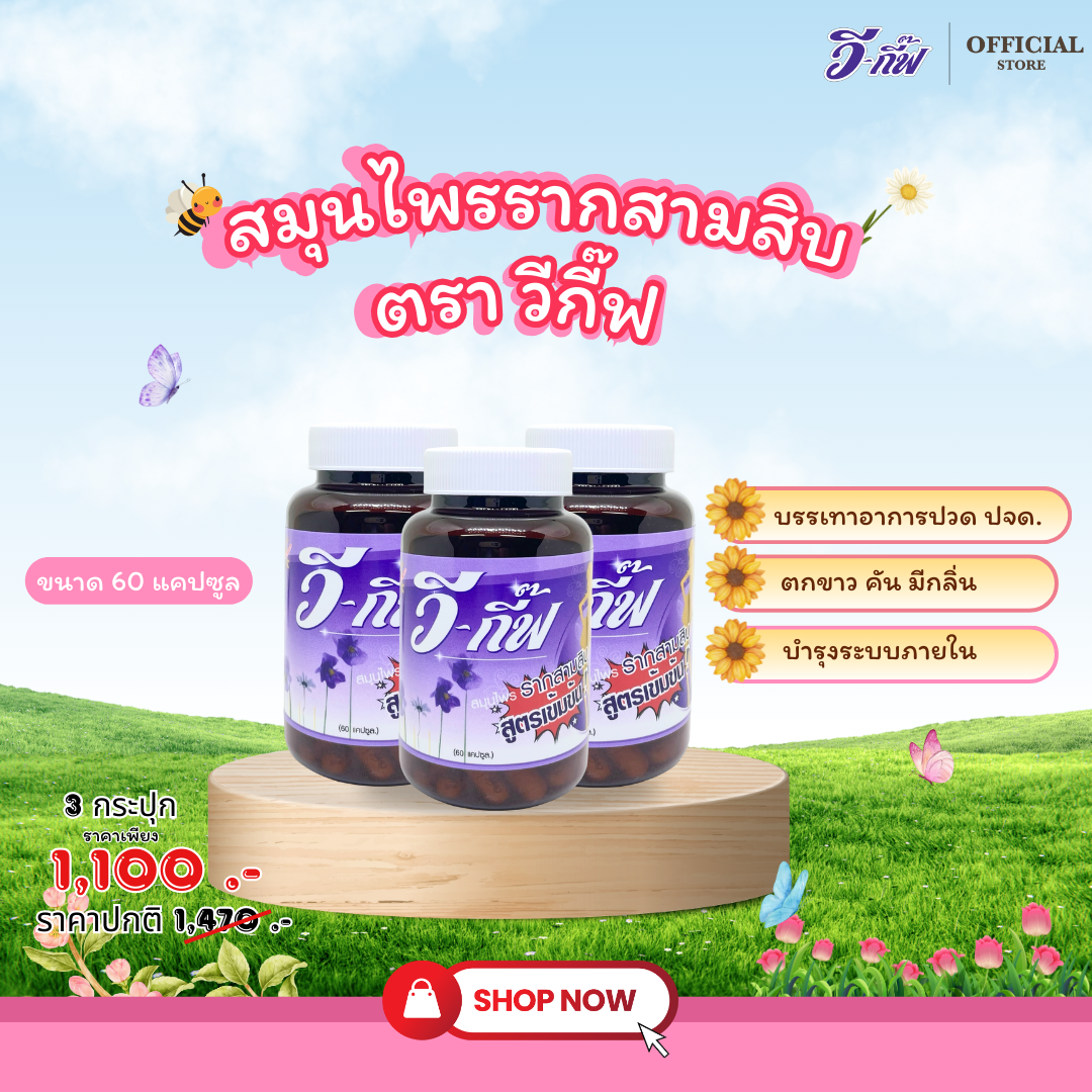 วี-กี๊ฟ สมุนไพรรากสามสิบ (ชนิดแคปซูล)