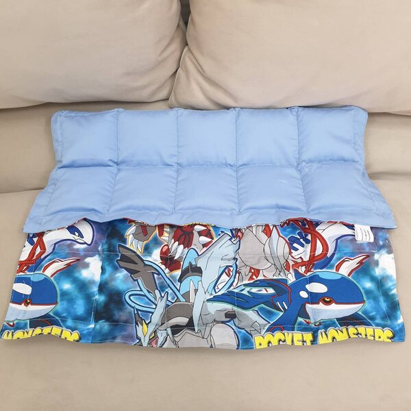 Weighted Lap Pad (cotton) คละลาย