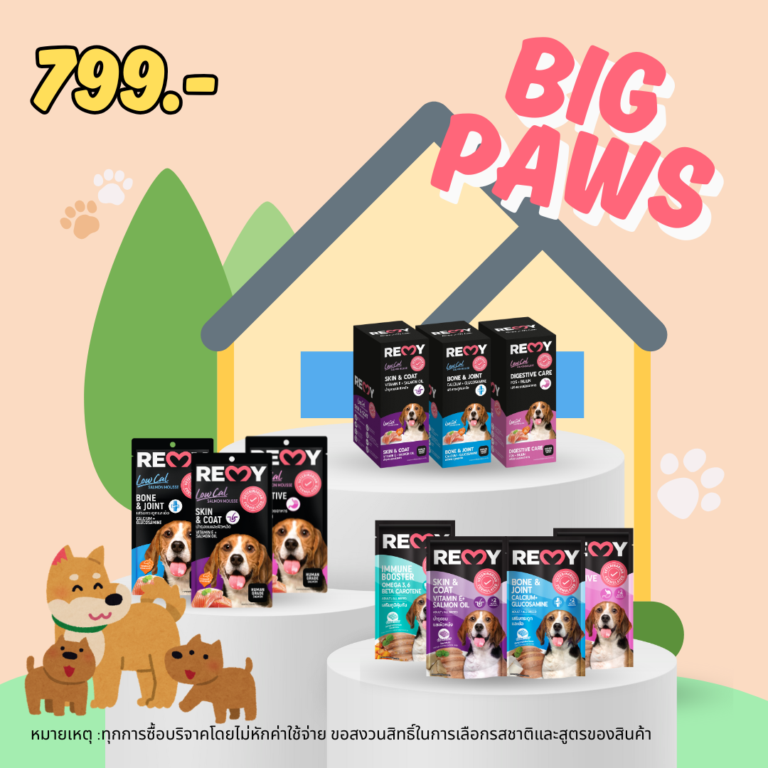 BIG PAWS (Dog food + Dog treats)