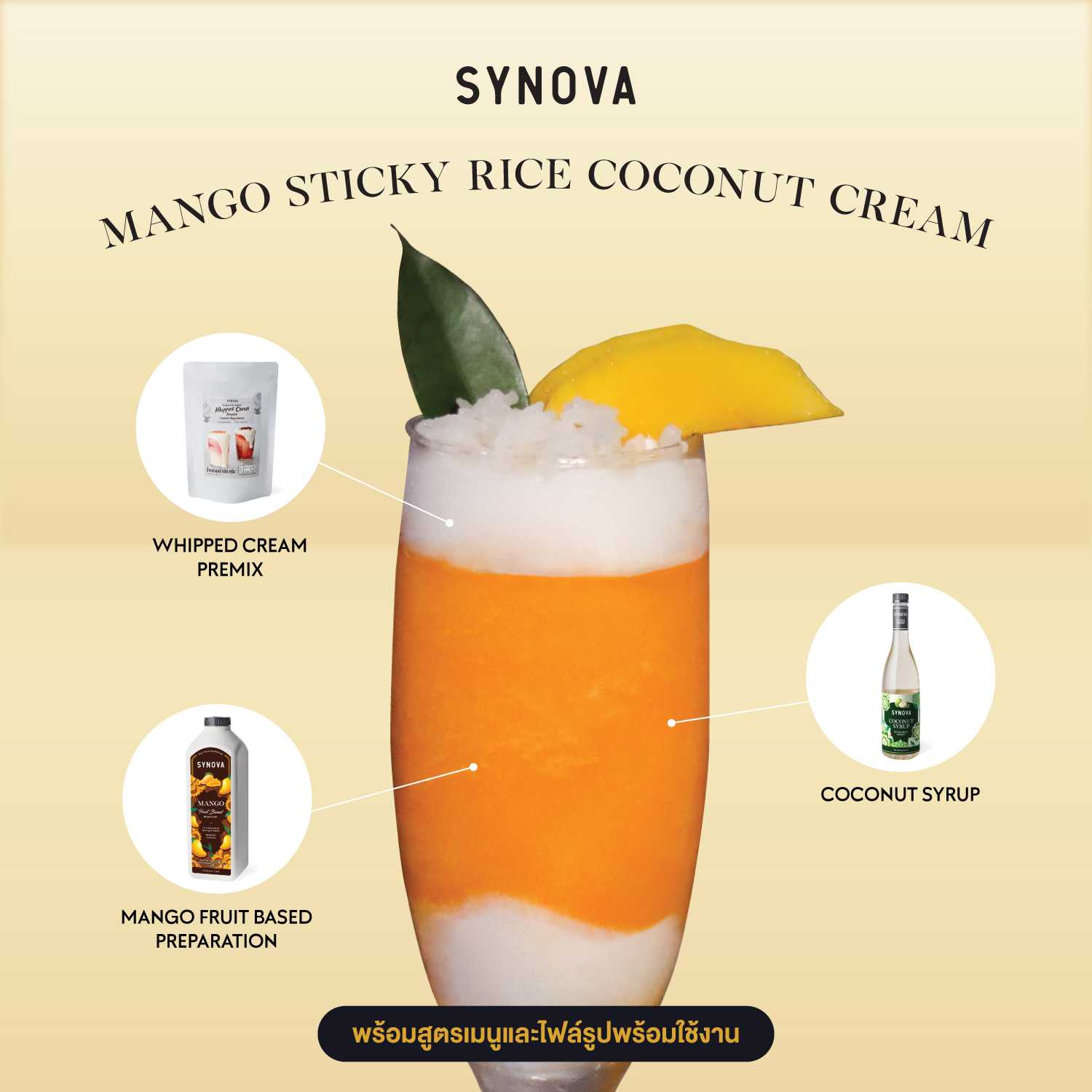 เซ็ตเครื่องดื่ม SYNOVA : เมนูมะม่วงปั่นครีมมะพร้าว พร้อมภาพ และสูตรชงเครื่องดื่ม (เซ็ต)