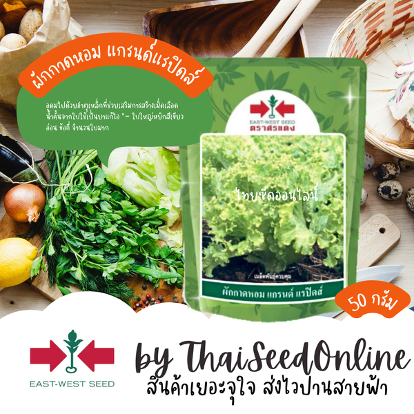 EWCOM ผักกาดหอมแกรนด์ แรปิดส์ 50กรัม ตราศรแดง Lettuce ผักสลัด