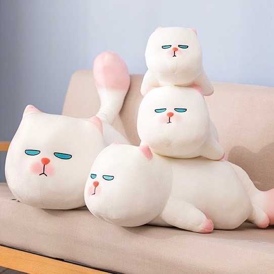 หมอนแมว หน้ากวน ViviCat มีหลายขนาดมากเลยจ้า