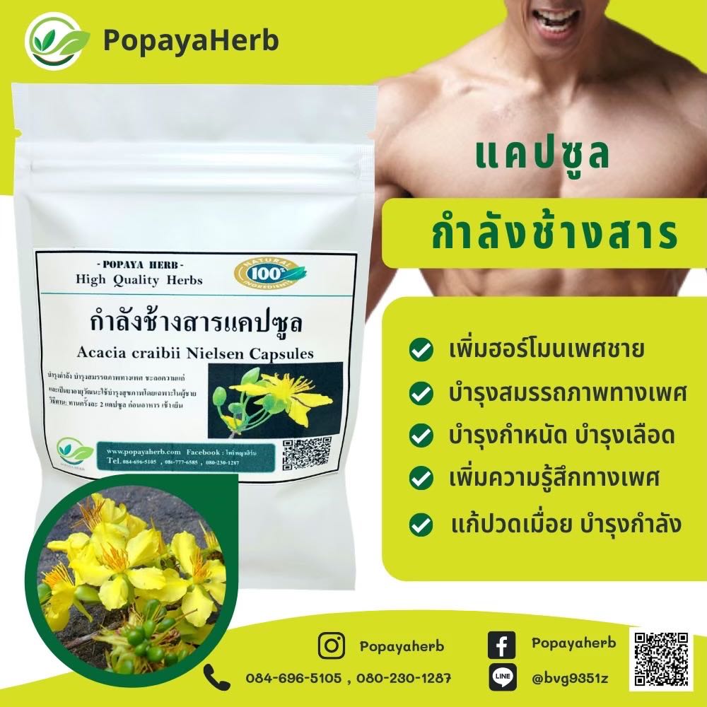 แคปซูล กำลังช้างสาร