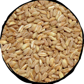 Spelt Pearled - 500gr