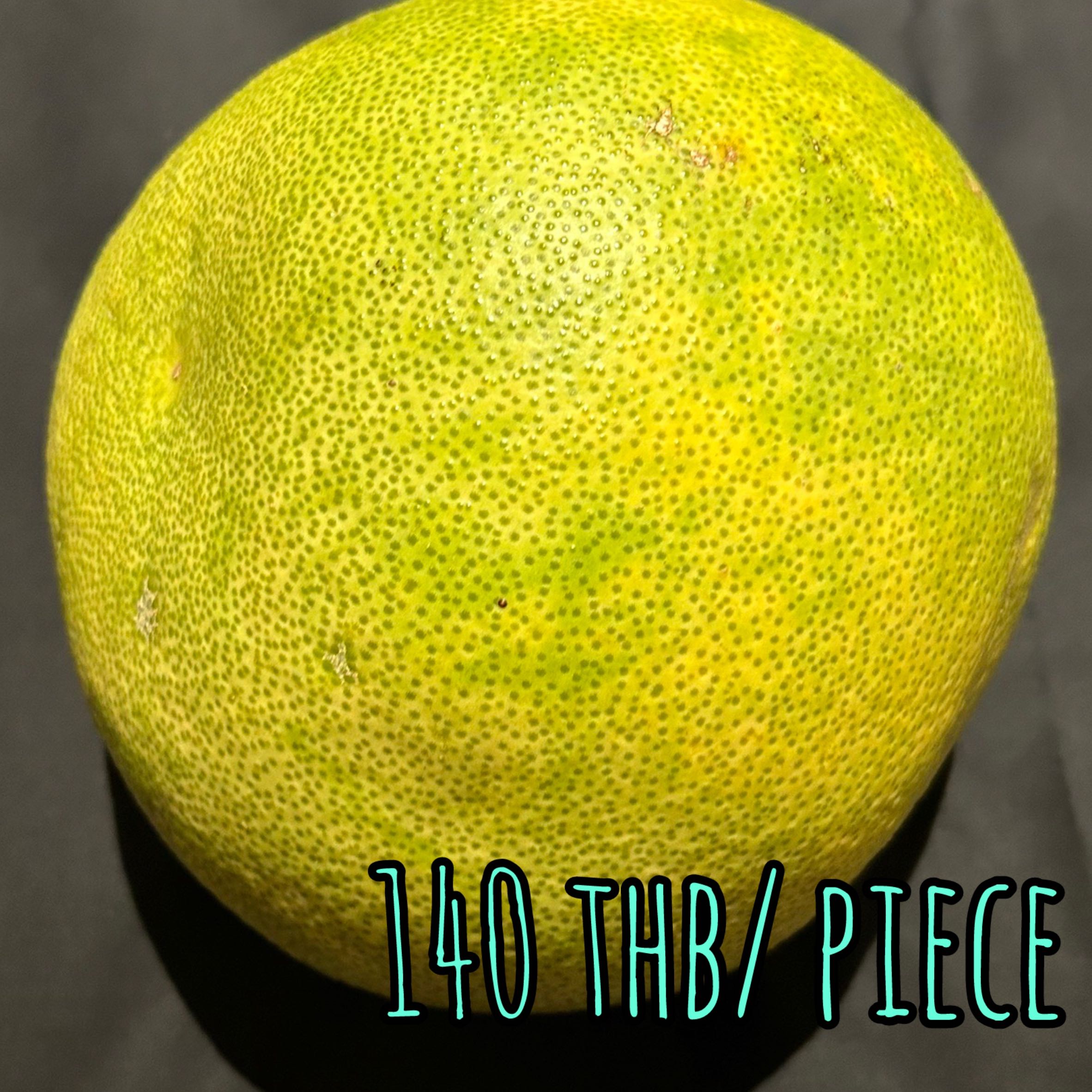 Large Pomelo 大きいポメロ ส้มโอลูกใหญ่
