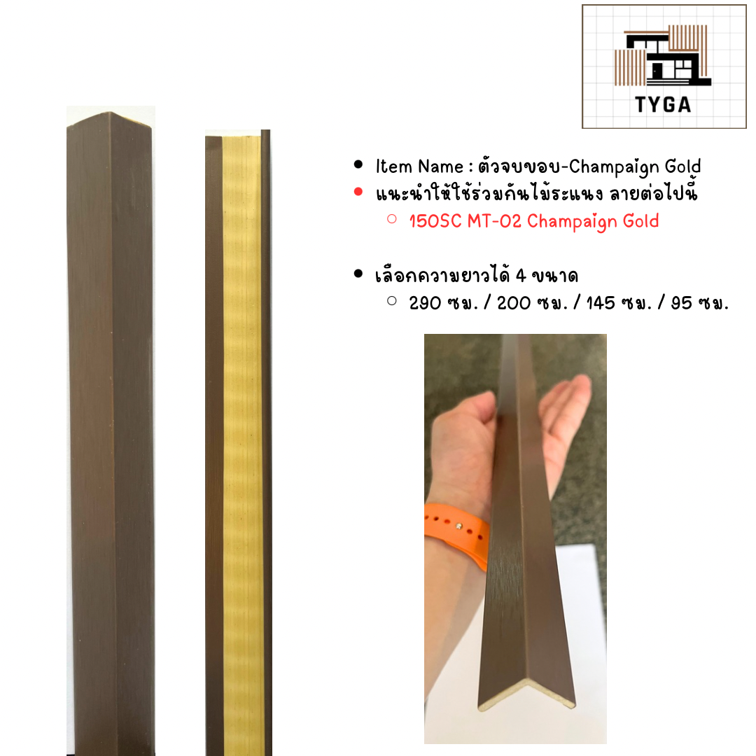 ตัวจบขอบ MT-02 Champaign Gold