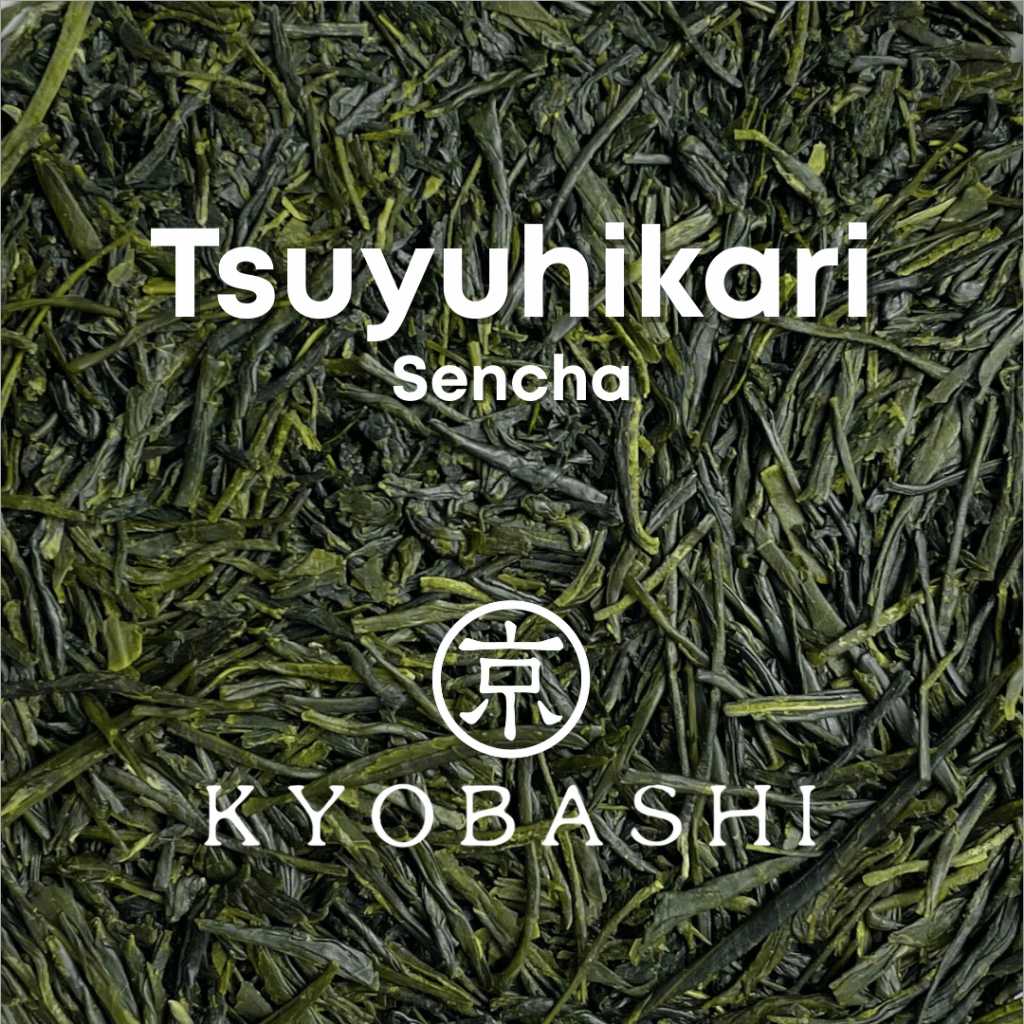 Tsuyuhikari  ชาเขียว เซนฉะ สึยุฮิคาริ จากชิซึโอะกะ ประเทศญี่ปุ่น