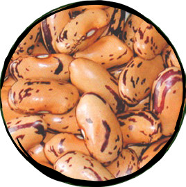 Borlotti Stregoni Dry Beans - 500gr