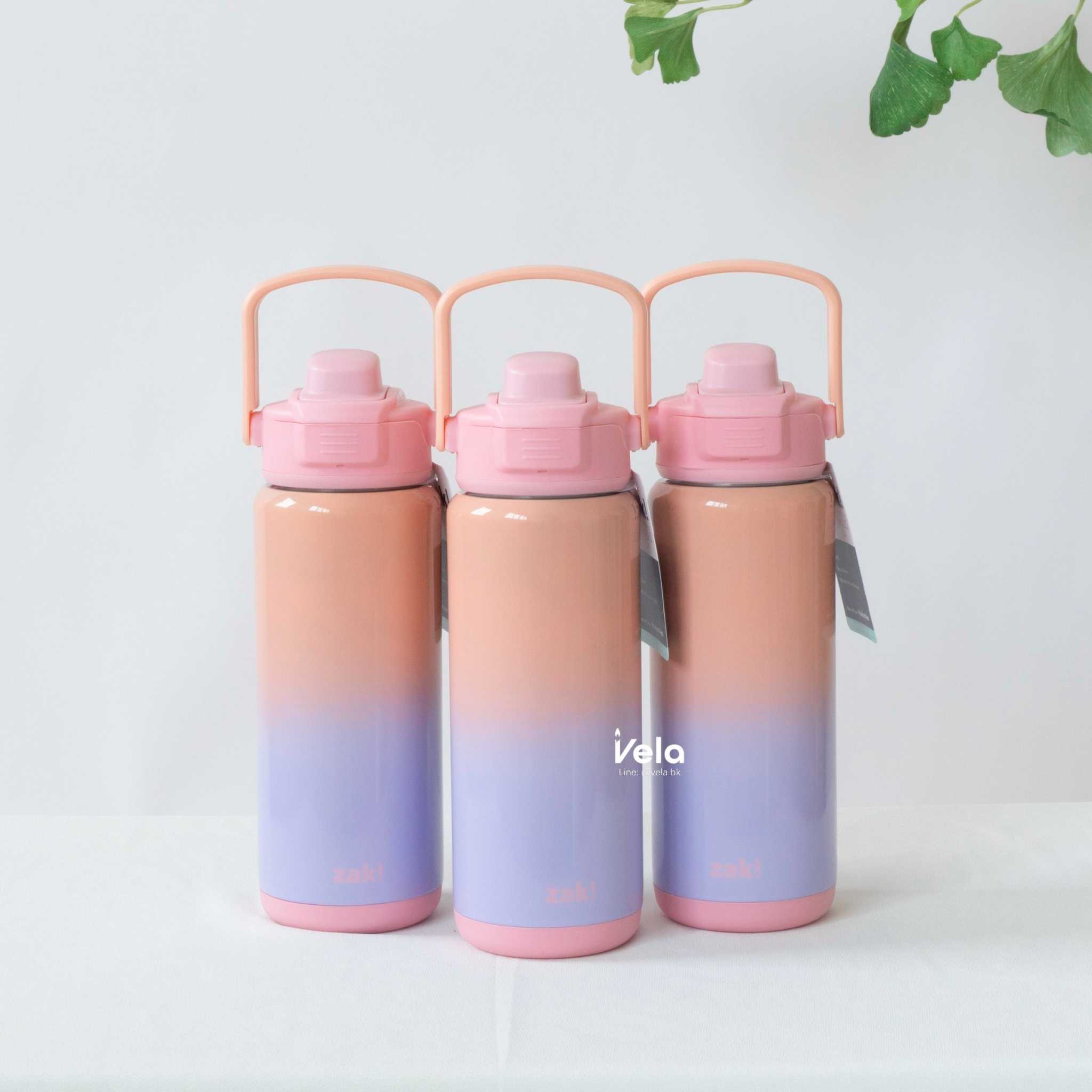 Zak Beacon Insulated Bottle 20 oz (Ombre Lavender)