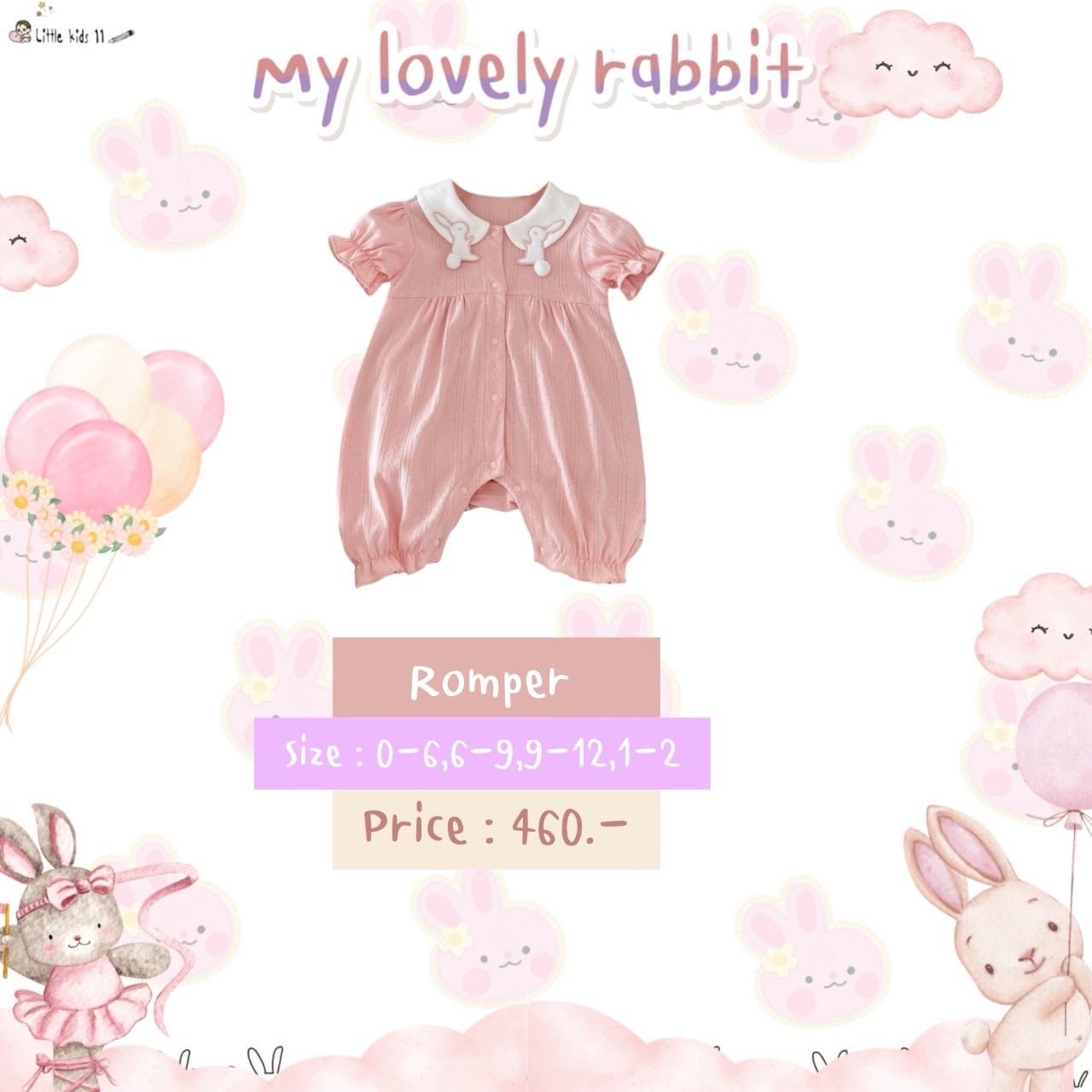 My lovely rabbit No.2