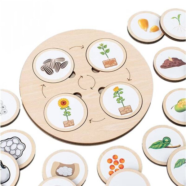 Life Cycle Puzzle