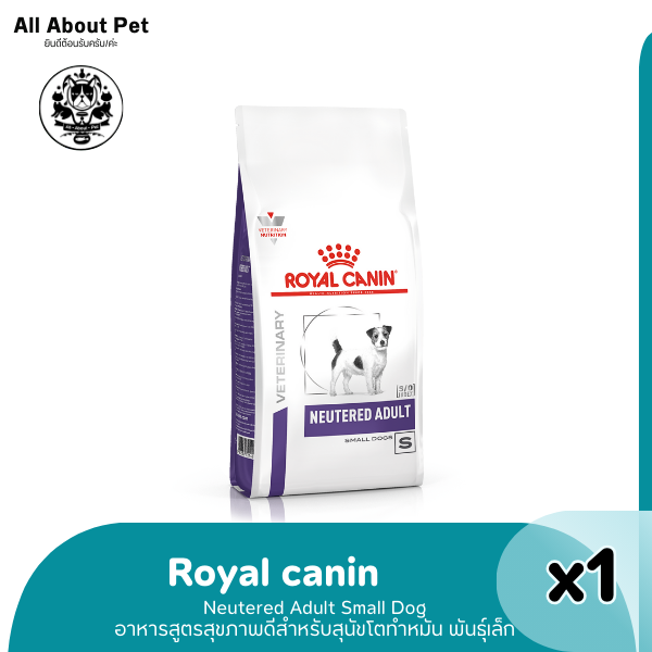 RC NEUTERED ADULT SMALL DOG  3.5 kg . สุนัขพันธุ์เล็ก ภายหลังทำหมัน